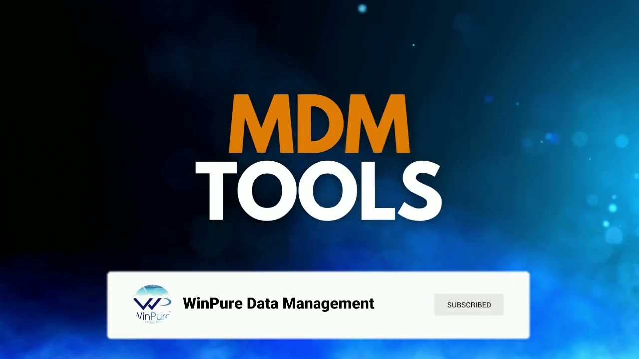 Tools Master Data Management Managing Your Business Data Effectively